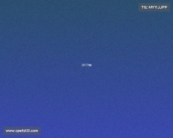 2017年最 2017年最