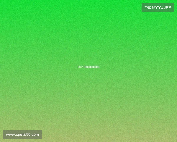 2021中式八球杨帆比赛视频