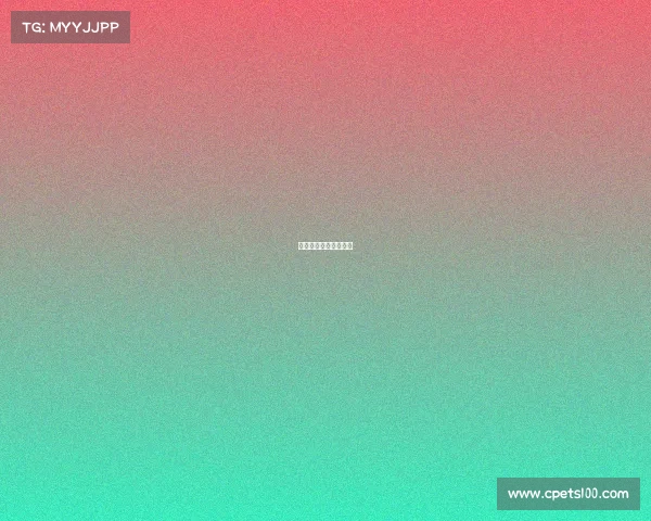 中国搏击节目都有哪些