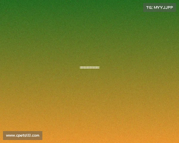 奥迪的赞助的赛事奥迪赞助商